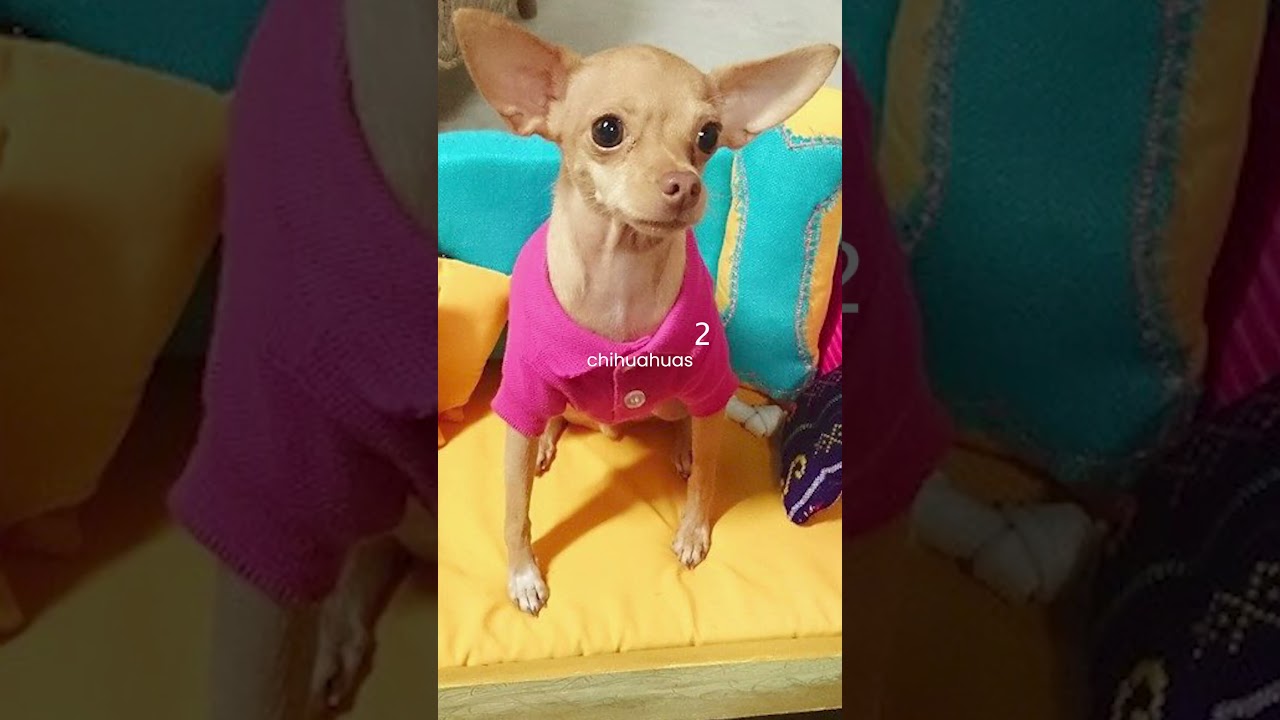 Día 1: "Quién es Alex Luna?"