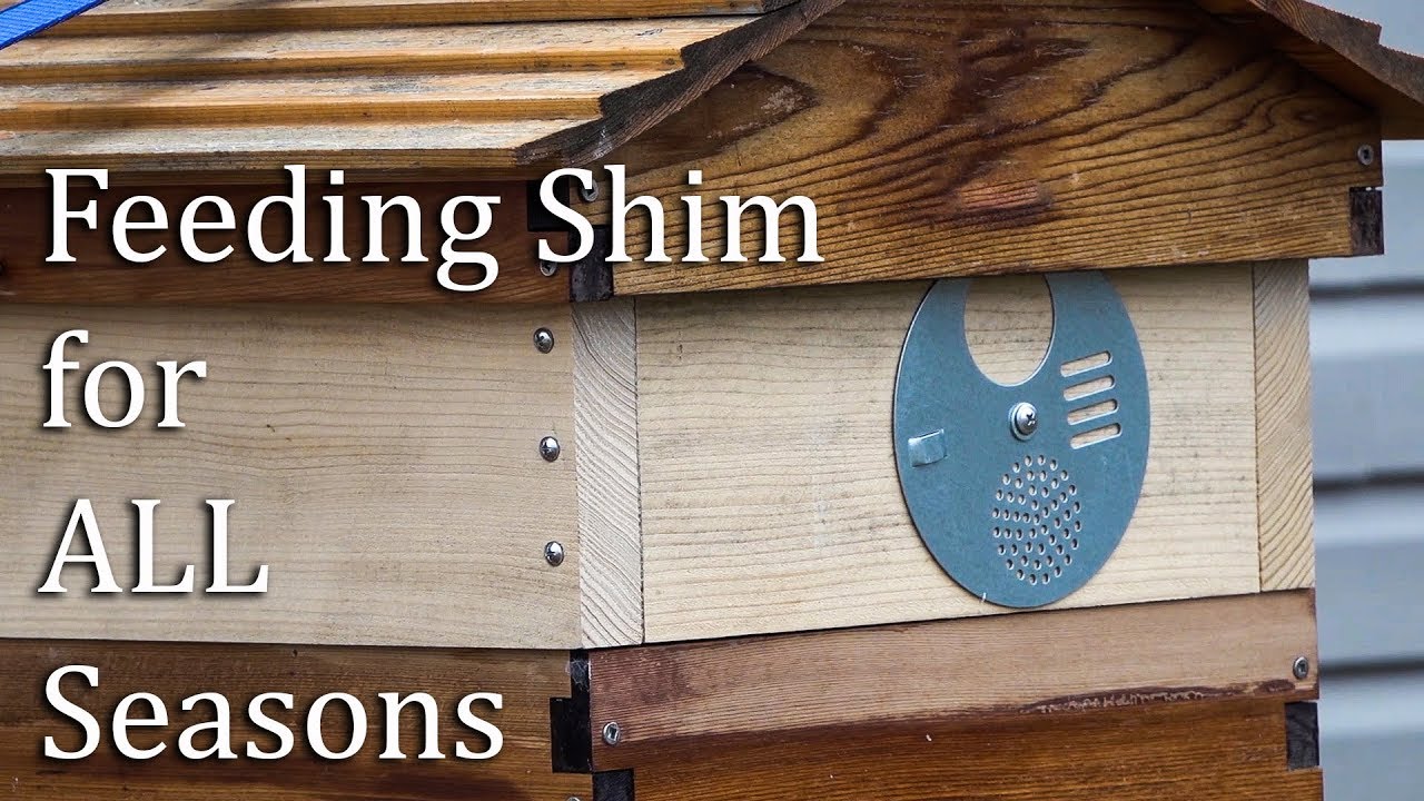 How to Make Your Own Honey Bee Feeder Shim Hive Top Feeder Basics YouTube