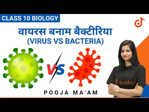 वायरस बनाम बैक्टीरिया | Virus vs Bacteria | CLASS 10 Biology | Hindi Medium | Pooja Ma&rsquo;am