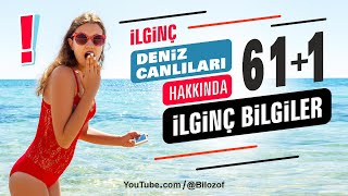 Deniz Canlıları Hakkında Bilmediğiniz İlginç Bilgiler