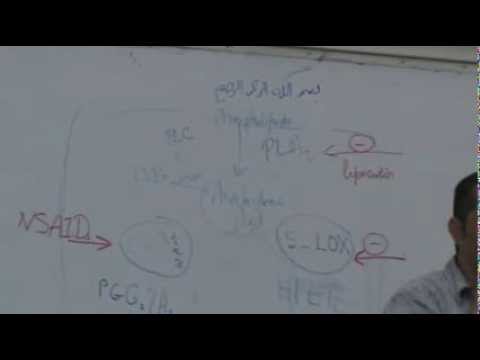 video phone beyonce mp3 Dr.Ahmed Abdelrhman - Autocoids 3