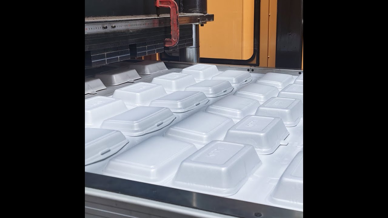 Disposable Polystyrene PS Foam Lunch Fast Food Box Container Tray Dishes Making Production Machine