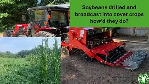 2025 HS360 Drilling soybeans into different cover crops.