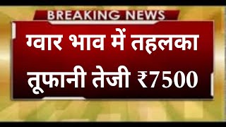 ग्वार में बनेगी जोरदार तेजी#गवार इंपोर्ट एक्सपोर्ट खबर#Kumar price today#gawar khabar screenshot 4