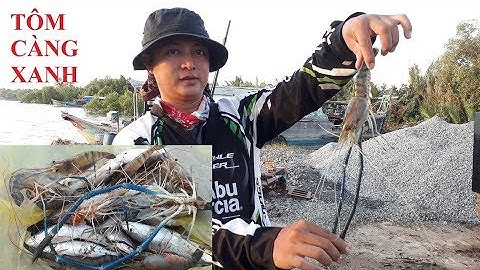 CÂU TÔM CÀNG XANH TRÊN SÔNG CỔ CHIÊN | HUYNH KHOA FISHING