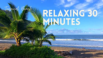 Relaxing Tropical Beach Waves [Blowing Palm Trees] NEW -Crashing Waves Sound | 30 MINUTES |