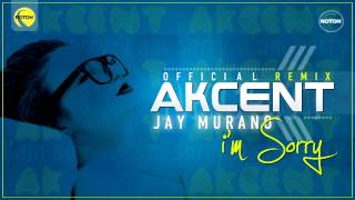 Akcent - I'm sorry (Jay Murano Remix) Resimi