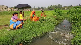 Fishing Video || Traditional lady is catching big fish in the canal using different types of food