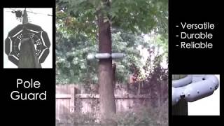 Pole Guard Protector on Tree Deterring Squirrels: Customer-Submitted Video