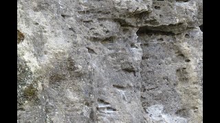 Faces in the Stones