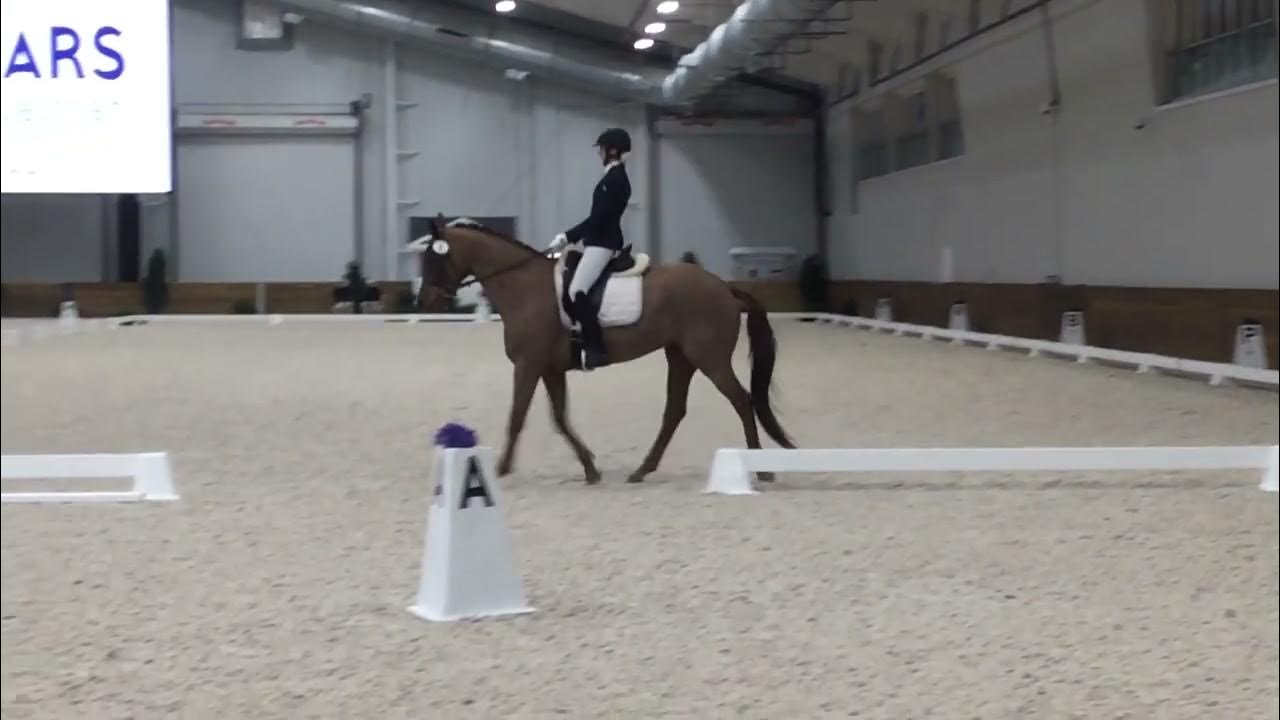Gigi Third Level Test 1 YouTube