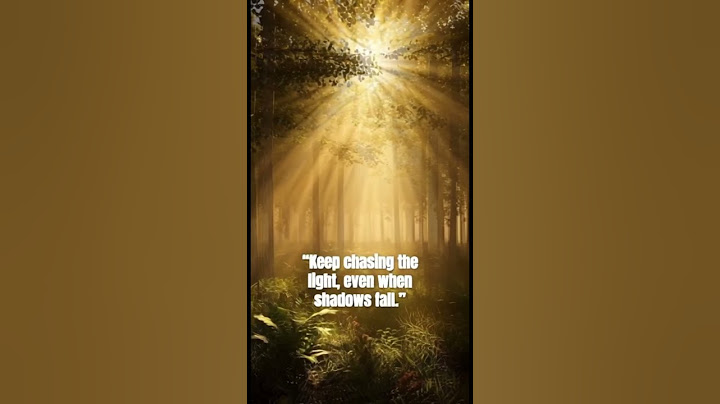 Chasing the Light: Find Hope Beyond the Shadows #Shorts #Motivation #birdsong #morninginspiration