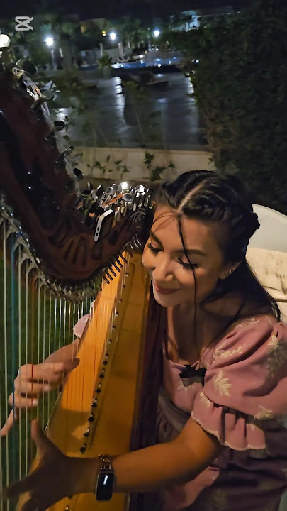 Paraguaya linda - Arpa Paraguaya (musica paraguaya)#acustico #paraguay #envivo #arpa #harp #music