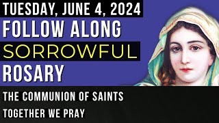 WATCH  FOLLOW ALONG VISUAL ROSARY for TUESDAY, June 4, 2024  AMONG THE STARS