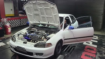 d15b dual vtec hotdog