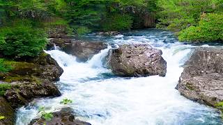 10 Hours of Calming Waterfall Sounds | Pure Water Noise, No Birds for Better Sleep.