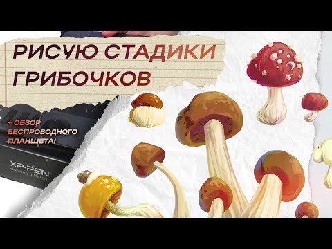 Рисую для души | Графический планшет БЕЗ ПРОВОДОВ XPPEN