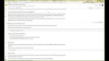 Day 1 - 06. Hands-on: Processing BigBrain datasets with Boutiques (Valérie Hayot-Sasson)