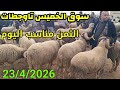 مباشرة من الخميس تاوجطات 23 4 2026 أثمنة حولي عيد الأضحى والخروف والخروفة والنعجة الماعز فرجة ممتعة