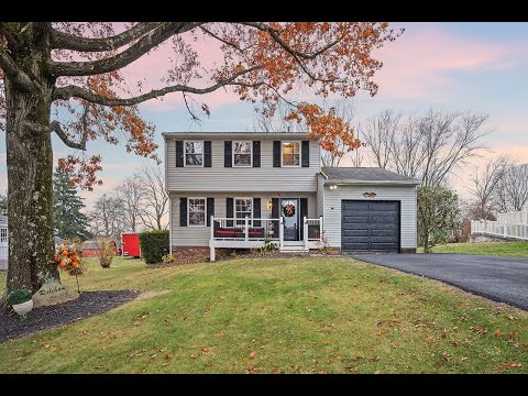 213 Meadowood Drive, Cheswick, PA home video tour