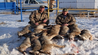 Coyote Hunting Competition Tips! How Hunting Competitions Work! Part 3