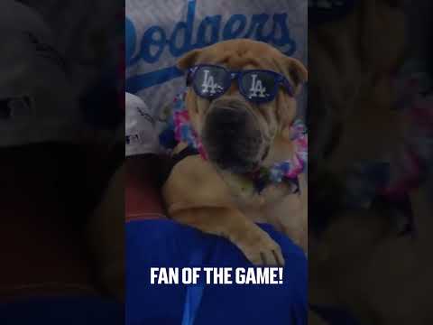 aura #Postseason