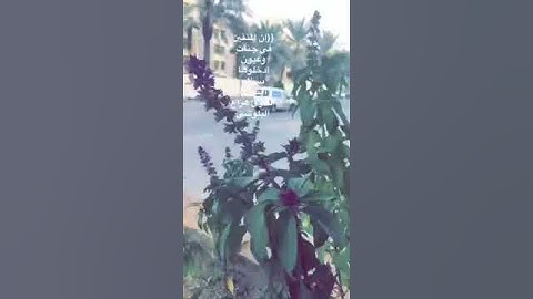 إن المتقين في جنات وعيون أدخلوها بسلامٍ آمنين القارئ هزاع البلوشي