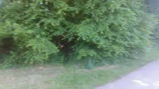 20170613 133041