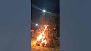 Holika Dahan Status 2024 Happy Holi Shorts Youtube Holi Video Youtubeshorts 