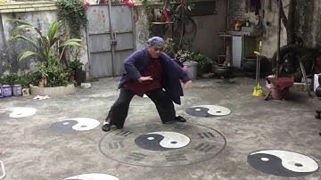 Daniel Mitel filming Master Zhang doing Baguazhang in Zhuhai, China