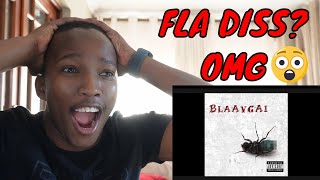 Rokit Bay - BLAAVGAI REACTION