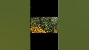 طمأنينةة ⛥.. #قرآن_كريم #سورة_النجم #القارئ_محمد_صديق_المنشاوي #اترك_اثرا_طيبا_بذكر_الله