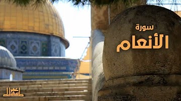 6- سورة الأنعام