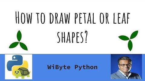 6. Paint with Turtle (Enhancements): How to draw petal or eye shapes with turtle?
