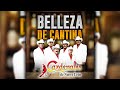 BELLEZA DE CANTINA - Los Cardenales de Nuevo León (Official Audio)