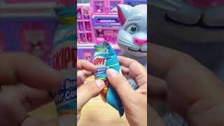 Popfinity ASMR | Grey Cat Gets Annoyed by a Moving Wafer Cone Snack