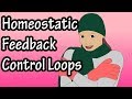 Homeostatic Feedback Mechanisms in Biological Systems