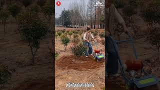 Mini Power Tiller Compact Soil Cultivation For Orchard And Garden Beds