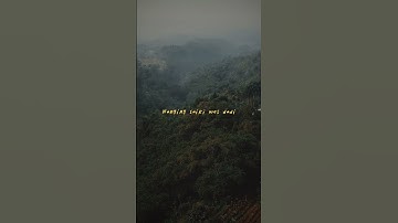 story wa Mendung tanpo udan. deni caknan ft ndarboy gank #shorts