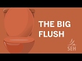 The Big Flush: Fact or Myth?