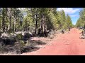 Prineville Hotshots preparing a road - Yamsay Fire