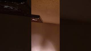 Eji Braille Eagle Code Iji Utility Kfk Groove Pjl Sound Pinecone Playing