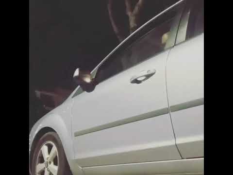 شويبات موريتان 