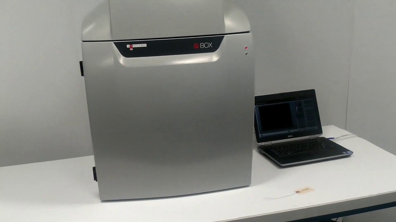 Syngene G:BOX Chemi XR5 Chemiluminescence Fluorescence