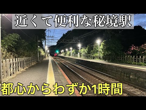 【衝撃】都内からわずか1時間で行ける大手私鉄の「秘境駅」がすごすぎた