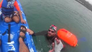 Encuentro con delfines en la Costa Verde