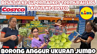 BELANJA KE SUPERMARKET TERMURAH LIDL LANJUT KE COSTCO BELI BARANG YANG KETINGGALAN MUMPUNG DISKON