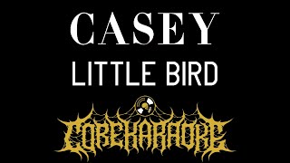 Casey - Little Bird [Karaoke Instrumental]