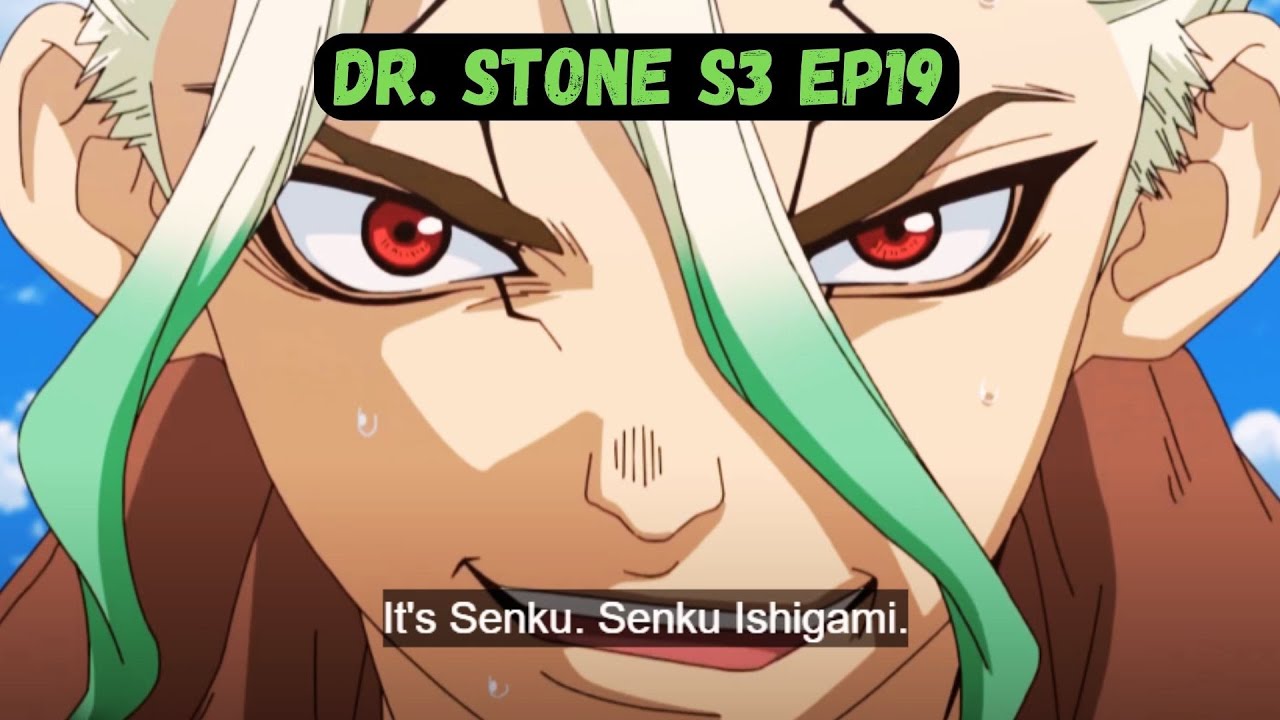 Dr. Stone Season 4 Officially Confirmed : r/DrStone