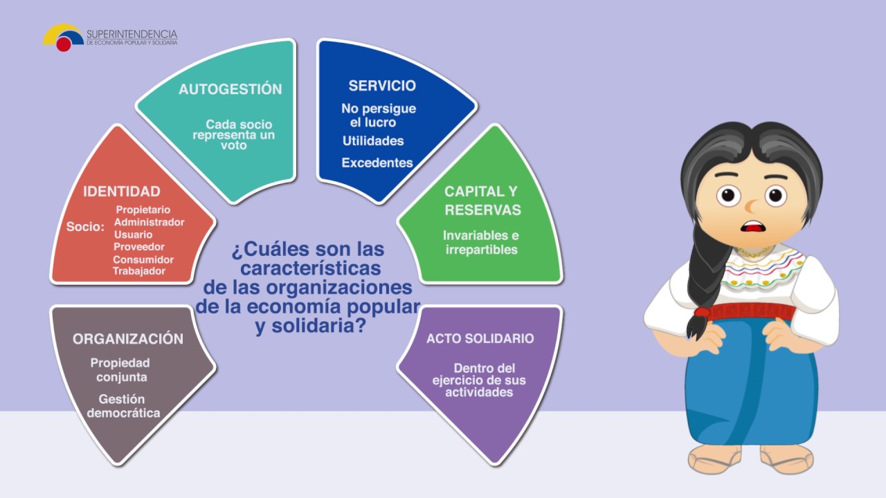 ¿Cuáles son las características de las organizaciones de